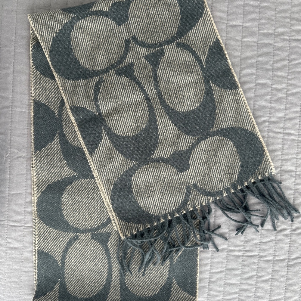 Coach scarf